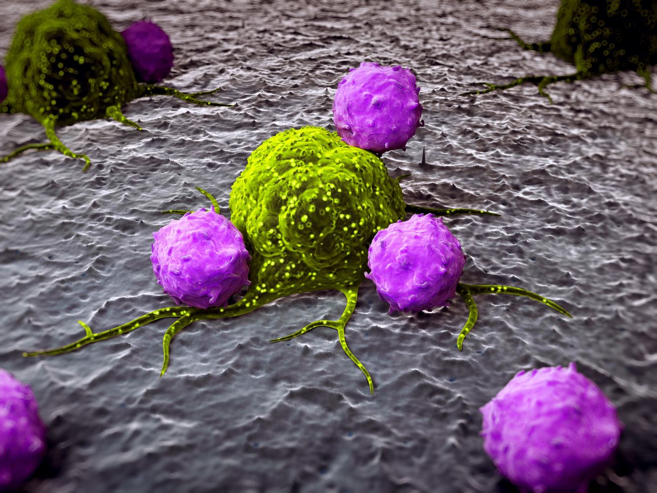 Cancer Immunotherapy Trials