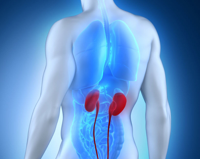 recognizing-national-kidney-month-by-breaking-down-barriers-to-improve