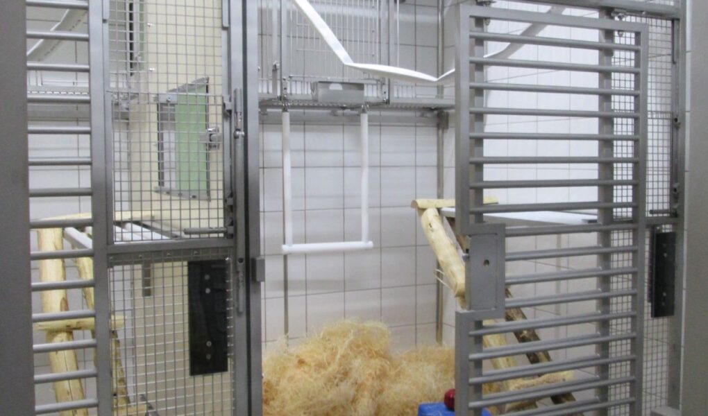 New Cage for Nonhuman Primate