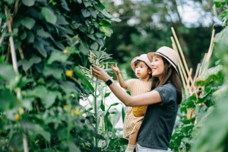 woman holding child while picking a lemon tree