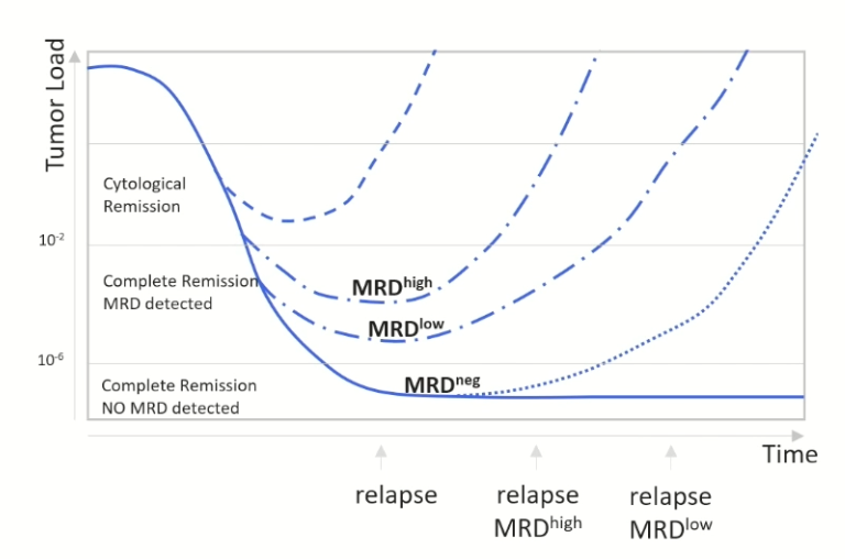 Tumor Load and Relapse Graph
