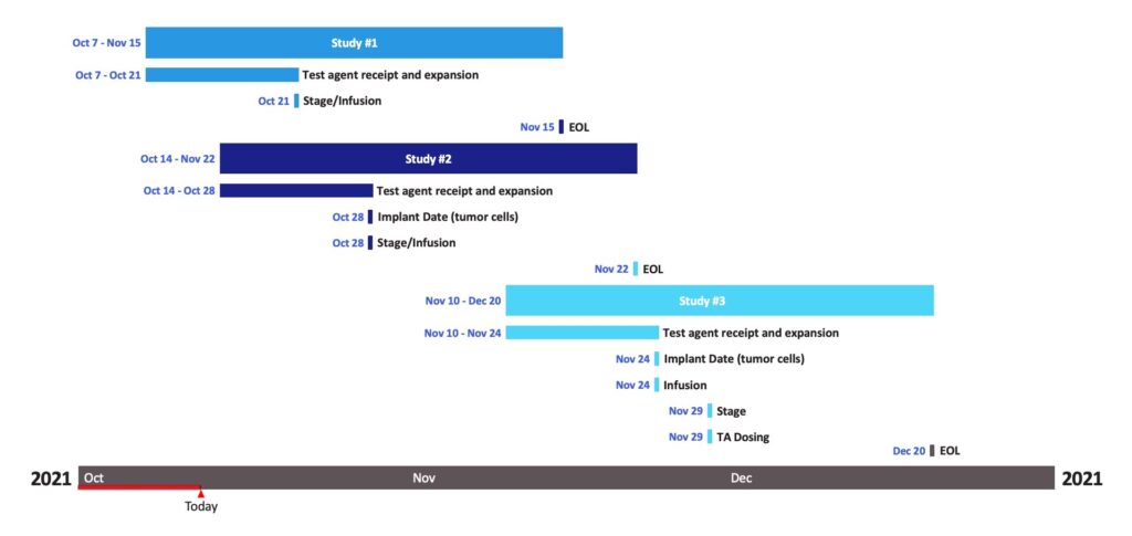 Gantt Chart timeline from study 1 through study 3 